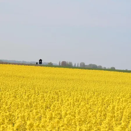 Ferienhaus-wiesengrund