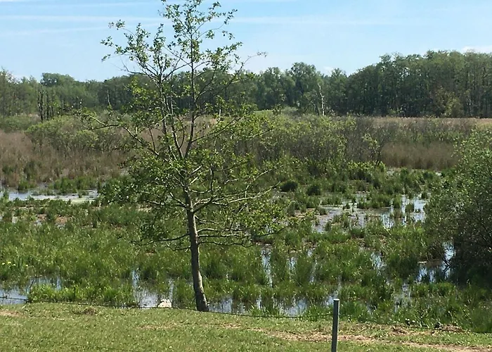 Ferienhaus-wiesengrund * Dranske