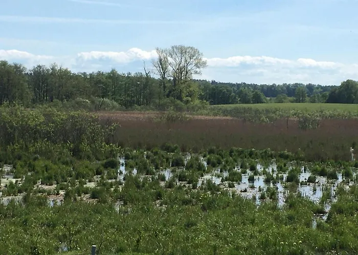 Lejlighed Ferienhaus-wiesengrund Dranske