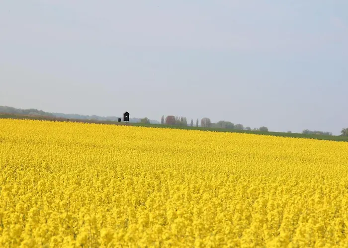 Ferienhaus-wiesengrund